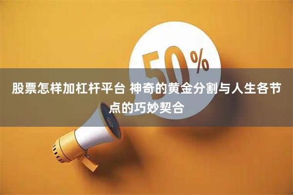 股票怎样加杠杆平台 神奇的黄金分割与人生各节点的巧妙契合
